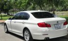 BMW 5 Series 523i   2010 - Bán ô tô BMW 523i 2010, màu trắng, xe nhập số tự động giá cạnh tranh