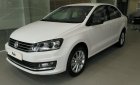 Volkswagen Polo   1.6L 2018 - Bán Volkswagen Polo 1.6L đời 2018, màu trắng, nhập khẩu chính hãng