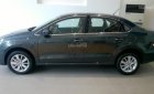 Volkswagen Polo   1.6L 2018 - Bán ô tô Volkswagen Polo 1.6L sản xuất 2018, màu xám, nhập khẩu