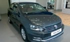 Volkswagen Polo   1.6L 2018 - Bán ô tô Volkswagen Polo 1.6L sản xuất 2018, màu xám, nhập khẩu