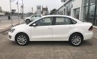 Volkswagen Polo   1.6L 2018 - Bán ô tô Volkswagen Polo 1.6L đời 2018, màu trắng, nhập khẩu, giá chỉ 699 triệu