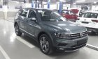 Volkswagen Tiguan E 2018 - Bán ô tô Volkswagen Tiguan E đời 2018, màu xám, nhập khẩu