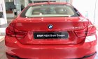 BMW 4 Series Mới   420i 2017 - Xe Mới BMW 4 Series 420i 2017