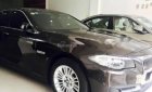 BMW 5 Series 520i 2015 - Bán BMW 5 Series 520i năm sản xuất 2015, màu đen, nhập khẩu nguyên chiếc