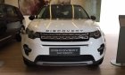 LandRover Discovery  Sport HSE   2017 - Bán ô tô LandRover Discovery Sport HSE sản xuất năm 2017, màu trắng, nhập khẩu nguyên chiếc số tự động