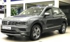 Volkswagen Tiguan Highlight 2018 - Bán ô tô Volkswagen Tiguan Highlight năm sản xuất 2018, màu bạc, nhập khẩu nguyên chiếc
