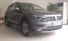 Volkswagen Tiguan 2018 - Bán xe Volkswagen Tiguan năm sản xuất 2018, màu xám (ghi), nhập khẩu