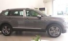 Volkswagen Tiguan 2018 - Bán xe Volkswagen Tiguan năm sản xuất 2018, màu xám (ghi), nhập khẩu