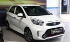 Kia Morning Si 1.25MT 2017 - Bán xe Kia Morning Si 1.25MT sản xuất 2017, màu trắng, giá chỉ 346 triệu