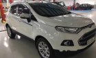 Ford EcoSport   2017 - Bán ô tô Ford EcoSport đời 2017, màu trắng, giá 579tr