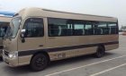 Hyundai County Mới   Limousine K29SL 2017 - Xe Mới Hyundai County Limousine K29SL 2017