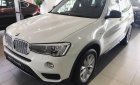 BMW X3 Mới   Xdrive 20i 2017 - Xe Mới BMW X3 Xdrive 20i 2017