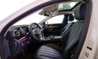 Mercedes-Benz C ũ Meredes-Benz E 250 2018 - Xe Cũ Mercedes-Benz E 250 2018