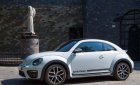 Volkswagen Beetle Mới   Dune 2018 - Xe Mới Volkswagen Beetle Dune 2018