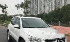 Volkswagen Tiguan   2009 - Bán xe Volkswagen Tiguan sản xuất 2009, màu trắng, nhập khẩu nguyên chiếc chính chủ, 610 triệu