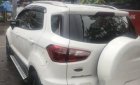 Ford EcoSport Titanium 2015 - Bán Ford EcoSport Titanium năm sản xuất 2015, màu trắng