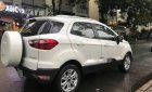 Ford EcoSport Titanium   2015 - Bán Ford EcoSport Titanium đời 2015, màu trắng số tự động