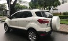 Ford EcoSport Titanium   2015 - Bán Ford EcoSport Titanium đời 2015, màu trắng số tự động