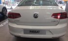 Volkswagen Passat Bluemotion  2018 - Bán Passat Bluemotion 2018, nhận ngay ưu đãi 20tr, hỗ trợ trả góp. Lh: 0944064764 Ngọc Giàu