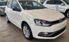 Volkswagen Polo   2017 - Bán Volkswagen Polo hatchback sản xuất năm 2017, nhập khẩu nguyên chiếc, giá chỉ 695 triệu