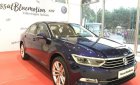 Volkswagen Passat  Bluemotion 2018 - Cần bán Volkswagen Passat năm sản xuất 2018, nhập khẩu