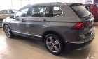 Volkswagen Tiguan E 2018 - Bán xe Volkswagen Tiguan Allsapce 2018 giao ngay giá tốt nhất– Hotline 0909 717 983