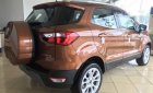 Ford EcoSport 1.5L AT Titanium  2018 - Bán xe Ford EcoSport 1.5L AT Titanium 2018, màu nâu, giá 648tr