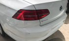 Volkswagen Passat 2016 - Bán ô tô Volkswagen Passat năm sản xuất 2016, màu trắng, nhập khẩu