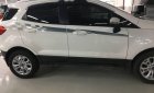 Ford EcoSport   Tianium   2017 - Bán xe Ford EcoSport Tianium năm sản xuất 2017, màu trắng