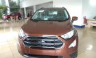 Ford EcoSport 1.5AT Titanium  2018 - Bán ô tô Ford EcoSport 1.5AT Titanium năm 2018, màu cam, giá tốt