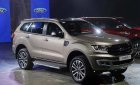 Ford Everest Trend 2.0L MT 4x2  2018 - Bán xe Ford Everest Trend 2.0L MT 4x2 sản xuất 2018, màu vàng, nhập khẩu nguyên chiếc, 850tr