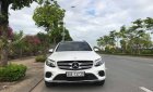 Mercedes-Benz GLC-Class 300 2017 - Bán Mercedes 300 năm sản xuất 2017, màu trắng, nhập khẩu