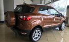 Ford EcoSport Titanium 1.5L 2018 - Bán xe Ford EcoSport Titanium 1.5L 2018 trả trước 130 triệu