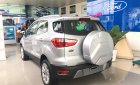 Ford EcoSport Mới   Titanium 1.0L Ecoboost 2018 - Xe Mới Ford EcoSport Titanium 1.0L Ecoboost 2018