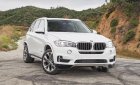BMW X5   2018 - Bán BMW X5 đời 2018, màu trắng, xe nhập