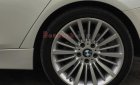 BMW 3 Series 320i 2014 - Bán ô tô BMW 3 Series 320i đời 2014, màu trắng, nhập khẩu