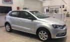 Volkswagen Polo 2015 - Bán Volkswagen Polo đời 2016, màu bạc, nhập khẩu giá cạnh tranh