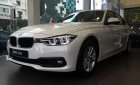 BMW 3 Series  320i   2018 - Cần bán xe BMW 320i đời 2018, màu trắng