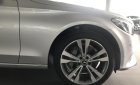 Mercedes-Benz C ũ Meredes-Benz  250 2017 - Xe Cũ Mercedes-Benz C 250 2017