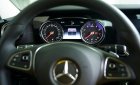 Mercedes-Benz E class E250 2018 - Bán Mercedes-Benz E250 nâu 2018, giá tốt, mới 100% giao ngay
