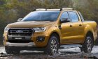 Ford Ranger Wildtrak 2.0L 4×2 Turbo  2018 - Bán Ranger Wildtrack 2018 lăn bánh giá rẻ nhất Sài Gòn Miền Tây