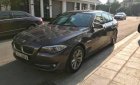 BMW 5 Series  523i  2010 - Xe BMW 5 Series 523i năm sản xuất 2010 