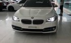 BMW 5 Series  520i 2015 - Bán BMW 5 Series 520i 2016, màu trắng, xe nhập
