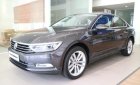 Volkswagen Passat Bluemotion  2018 - Passat Comfort hỗ trợ 100% trước bạ trong tháng 02/2020, xe giao ngay - hỗ trợ vay 90%