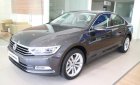 Volkswagen Passat Bluemotion  2018 - Passat Comfort hỗ trợ 100% trước bạ trong tháng 02/2020, xe giao ngay - hỗ trợ vay 90%