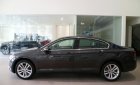 Volkswagen Passat Bluemotion  2018 - Passat Comfort hỗ trợ 100% trước bạ trong tháng 02/2020, xe giao ngay - hỗ trợ vay 90%