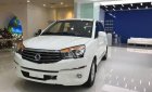 Ssangyong Stavic 2017 - Bán Ssangyong Stavic đời 2017, màu trắng, nhập khẩu  