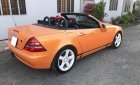 Mercedes-Benz SLK class  SLK250 1990 - Cần bán Mercedes SLK250 năm 1990, nhập khẩu