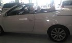 Volkswagen Eos 2007 - Bán xe Volkswagen Eos đời 2007, màu trắng, nhập khẩu