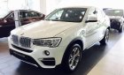 BMW X4 XDrive 20i  2017 - Bán xe BMW X4 XDrive 20i năm 2017, mới 100%